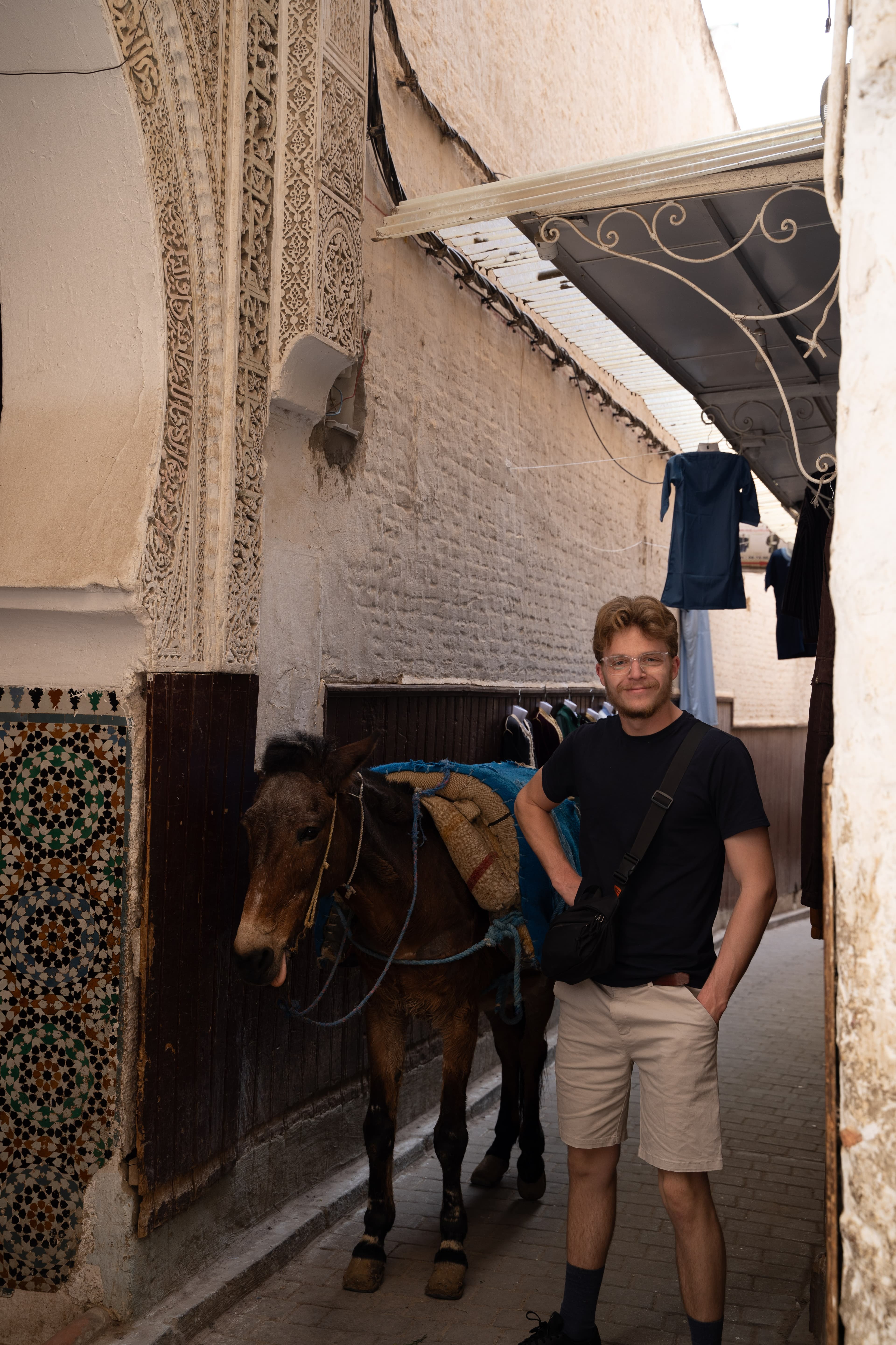 Malthe standing beside a donkey in Fez, Morocco
