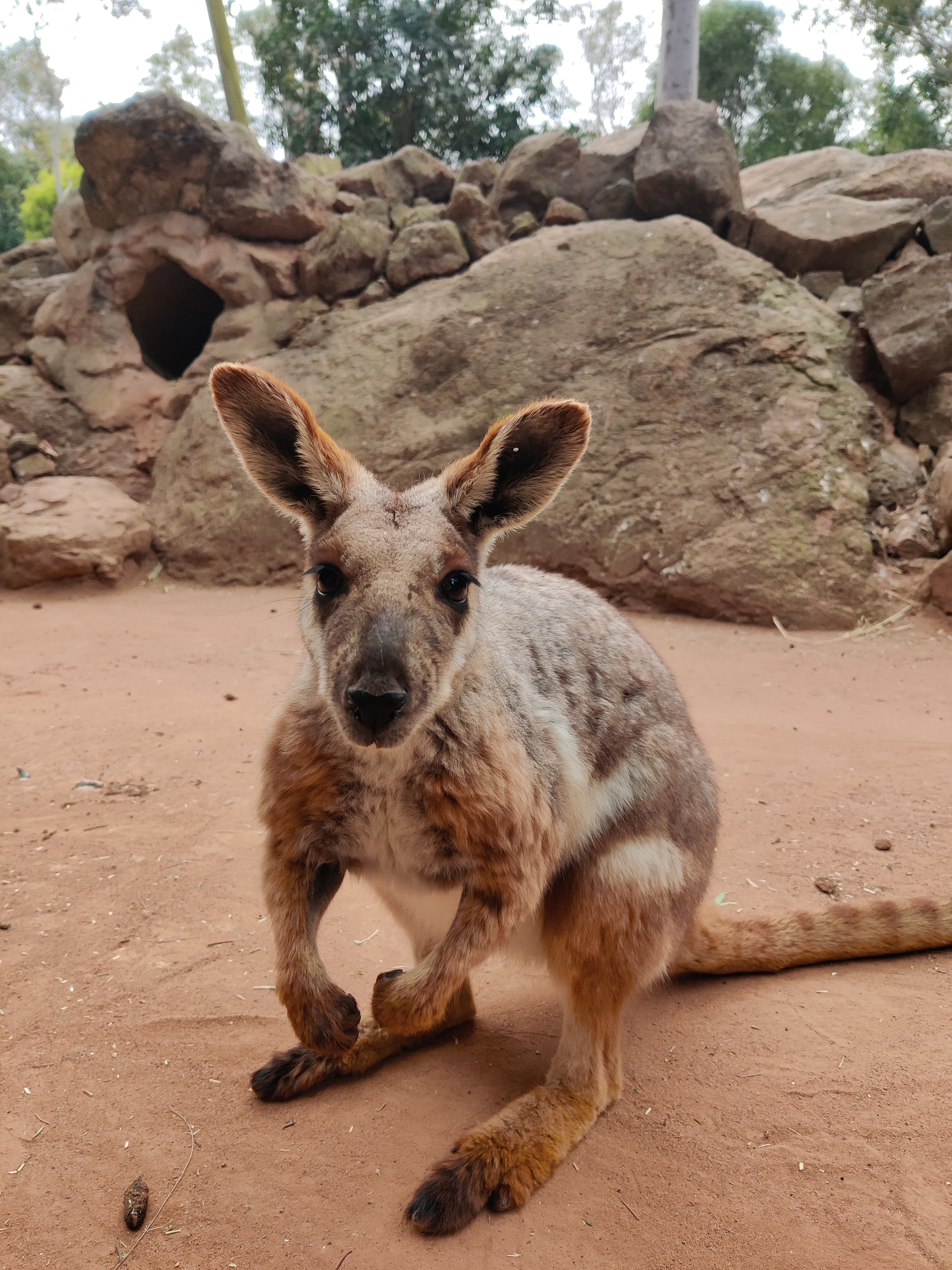 Sydney, Australia